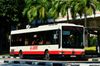 Thumbnail: SMB 116K — A Mercedes-Benz OC500LE single-deck bus serving commuters on service 975 under current bus operator SMRT Buses in June 2017.